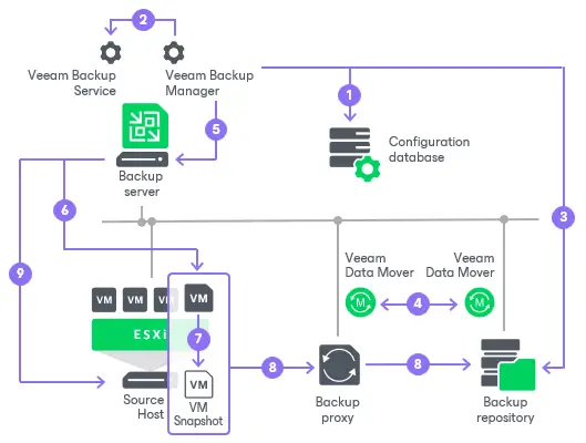 backup hiw vsphere